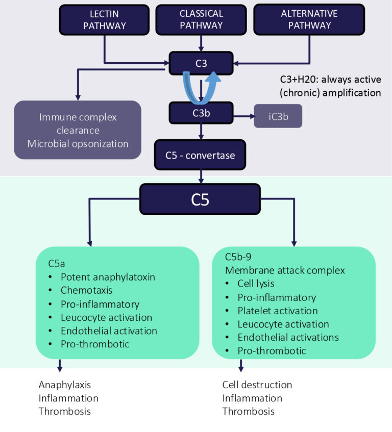 Complement Figure